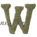 Large (15") Moss Monogram, A   555722651